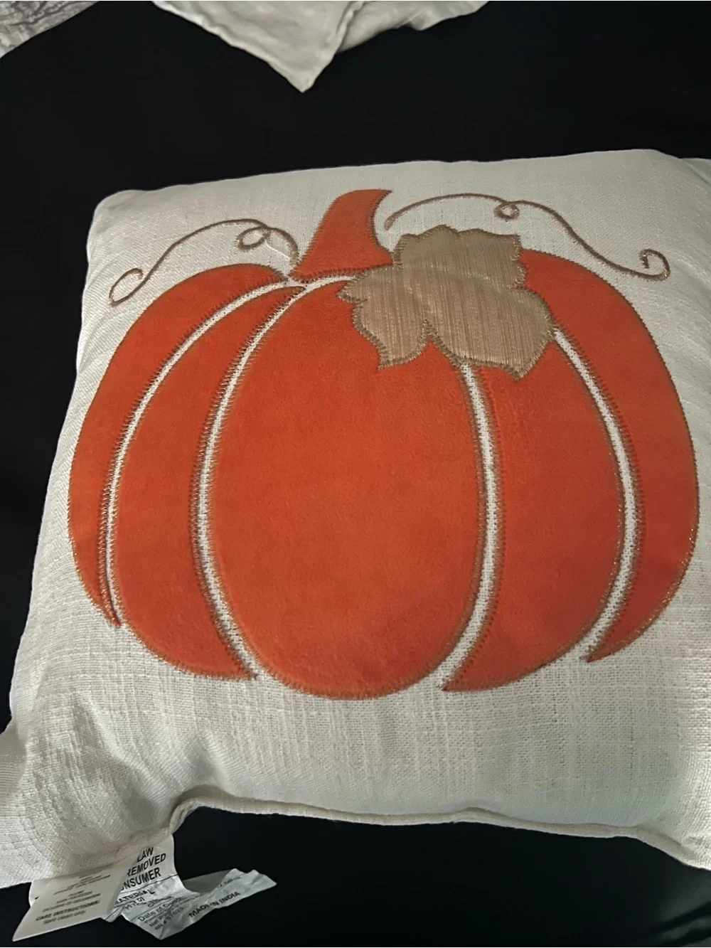 Autumn Pumpkin Decorative Throw Pillow - Orange & Tan